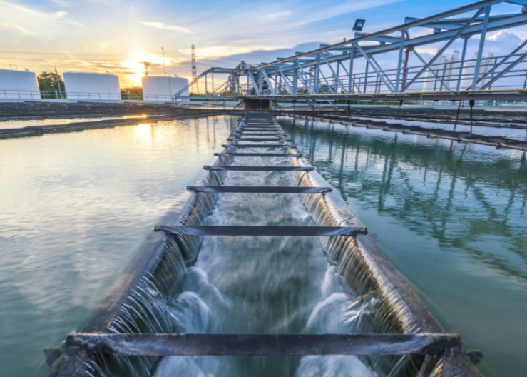 A Riportico, empresa do Grupo Applus+, foi adjudicada pela EDIA para minimizar os impactos no património cultural